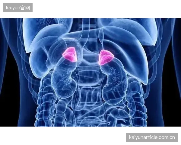 科学研究指出，跨时区飞行后的皮质醇水平恢复正常需一周以上，这将直接影响球员的生理机能与恢复。